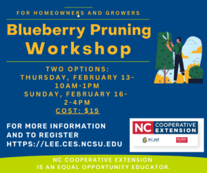 2024_Blueberry Pruning (Facebook Post Graphic)