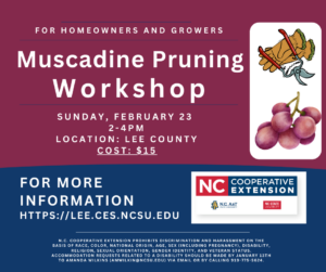 2025_Muscadine Pruning (Facebook Post Graphic)