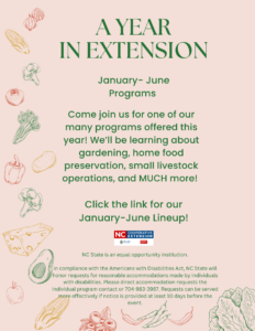 Cover photo for A Year in Extension January-June Programming