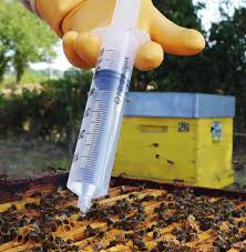 Cover photo for What Should I Be Doing in My Apiary This Month? December