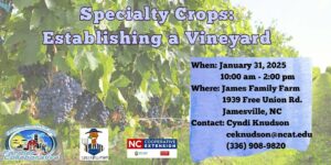 Flyer on establishing a vineyard