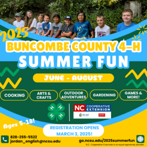Cover photo for 2025 4-H Summer Fun Camps