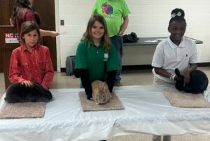 4-H members exhibiting their rabbits