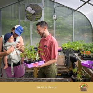 Cover photo for SNAP at the Farmers' Market