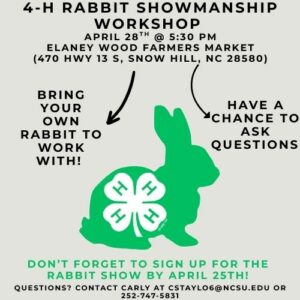 Cover photo for Rabbit Showmanship Clinic
