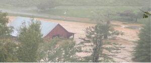 Cover photo for Hardware Disease Risk in Cattle, Sheep, and Goats Post Hurricane Helene