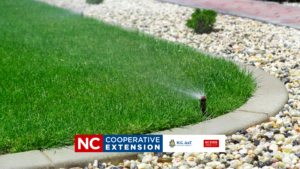 home irrigation