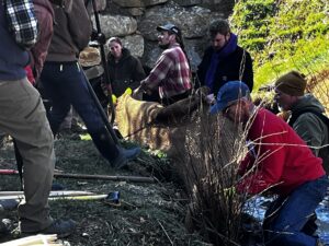 Attendees installing live stakes at workshop in Woodfin NC