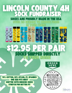 Cover photo for Lincoln County 4H Sock Fundraiser