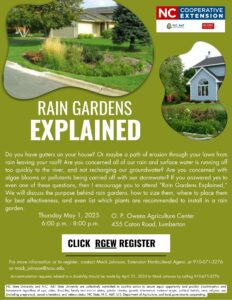 Rain gardens explained