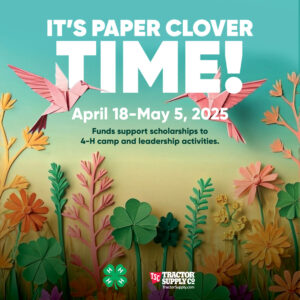 Cover photo for Paper Clover Fundraiser Is Here!