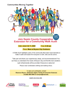 Swain County Walk Audit 3 & 4