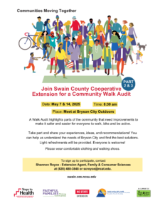 Swain County Walk Audit part 2 & 3