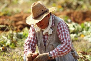 image of a farmer kneeling in field wearing a straw hat by JaeHoon KIM from Pixabay
