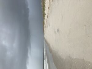 Cover photo for Citizen Science Program Needs Your Help Observing the Weather!