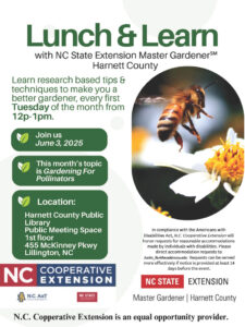 Cover photo for June Lunch & Learn
