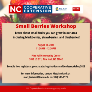 Cover photo for Cancelled: Small Berries Workshop