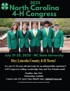 Cover photo for Lincoln County 4-H Teens Invited to Attend NC 4-H Congress This Summer