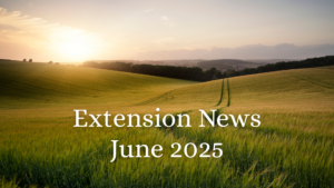 June 2025 Newsletter