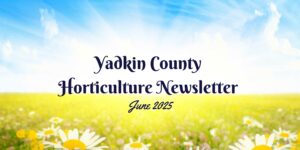 June Newsletter