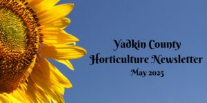 May Newsletter