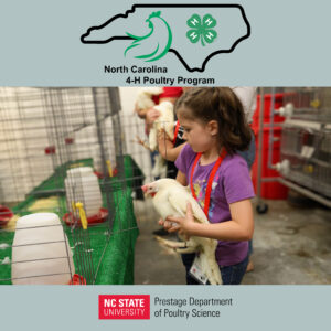 youth judging poultry