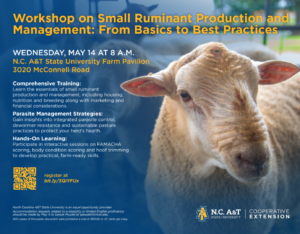 Small Ruminant Workshop Flyer
