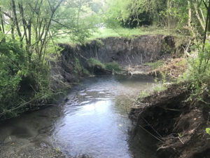 Cover photo for Replanting Streams and Riverbanks Post Helene