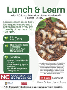 Cover photo for July Lunch & Learn