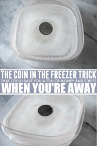 Coin in the Freezer trick to check if power went out while you were away