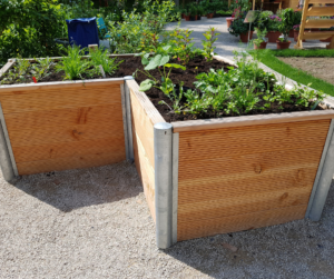 Raised vegetable beds