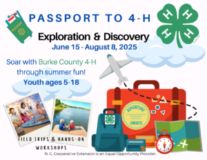 Summer Fun Flyer