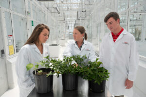 Soil Sciences