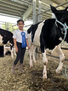Victoria Vargas proudly standing with her dairy calf and first place ribbon