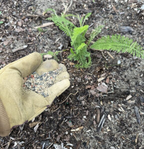 fertilizing plant