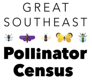 Cover photo for Great Southeast Pollinator Census Activities