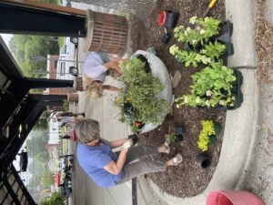 Cover photo for New Pollinator Garden at the Farmers' Market