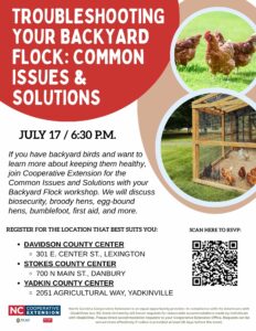 chickens in a coop