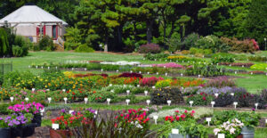 Cover photo for Landscape Color and Professional Field Day