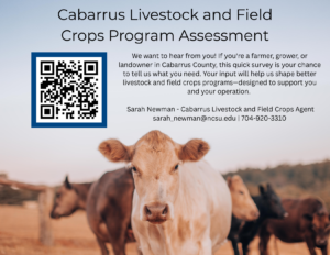Cover photo for Cabarrus Livestock and Field Crops Program Assessment