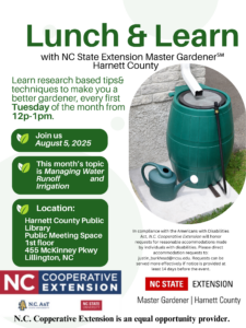 Cover photo for August Lunch & Learn