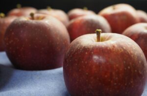Cover photo for 2025 Apple Maturity Pilot Program [07.18.2025]