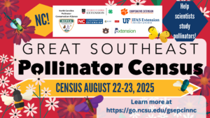 Great Southeast Pollinator Census banner image