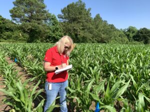 Agent in a corn field writing down data from the corn.