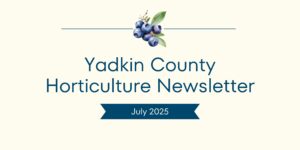 July Newsletter Banner