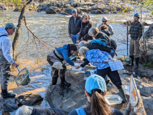 Master Naturalist students at a creek field day