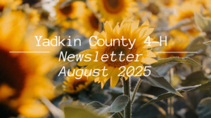 August Newsletter Cover