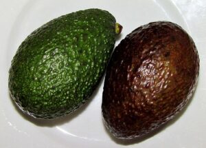 avacado-71555_1280