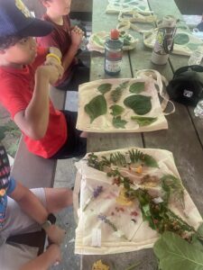 4-H youth studying plants