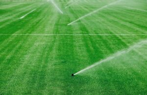 Irrigating a lawn